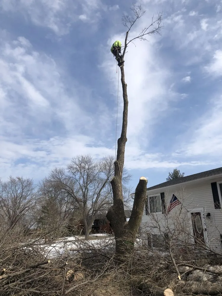 Trusted outdoor landscaping for residential properties in Anoka, MN by A-1 stump Monkey