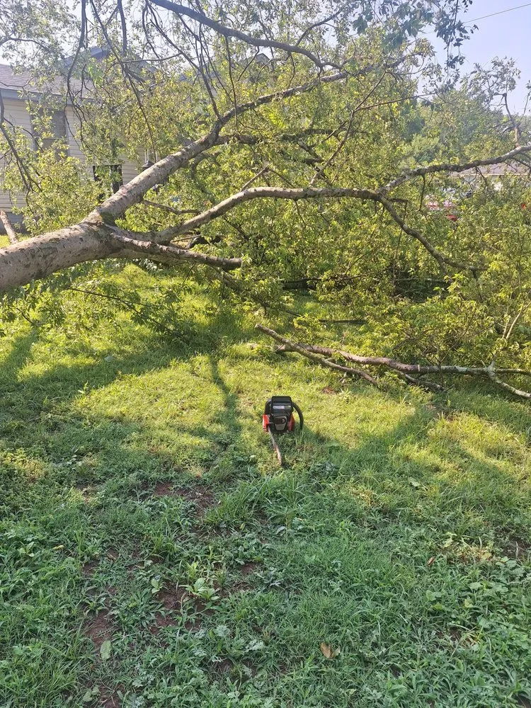 Top-rated landscaping services for homes in Brighton, AL by A-1 Total Property Maintenance