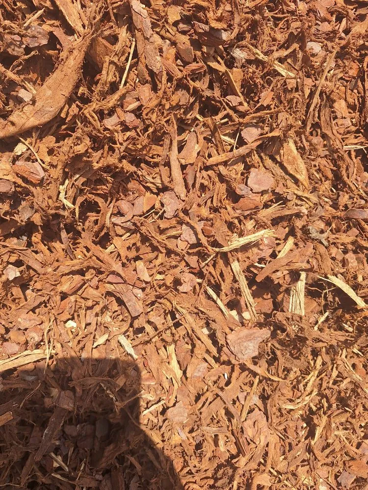 Trusted yard cleanup service for year-round maintenance in Brighton, AL by A-1 Total Property Maintenance