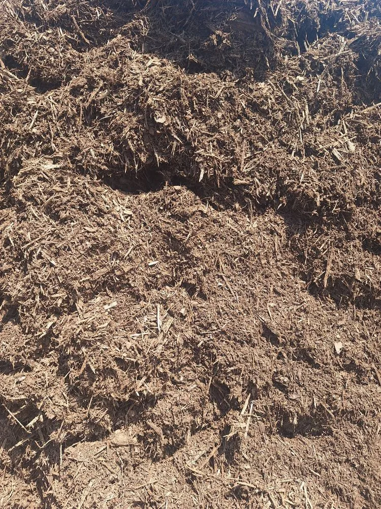 Trusted yard cleanup service for homes in Brighton, AL by A-1 Total Property Maintenance