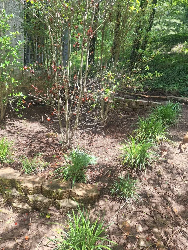 Reliable landscaping services in Brighton, AL - A-1 Total Property Maintenance