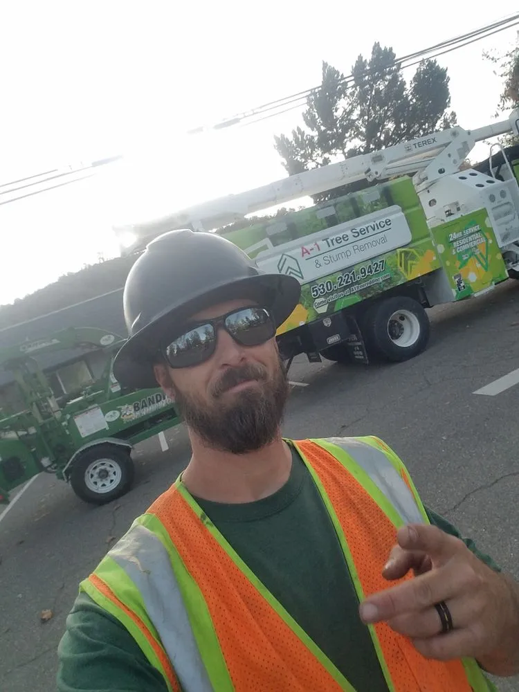 Affordable landscape installation with custom design in Redding, CA by A-1 Tree Service & Stump Removal