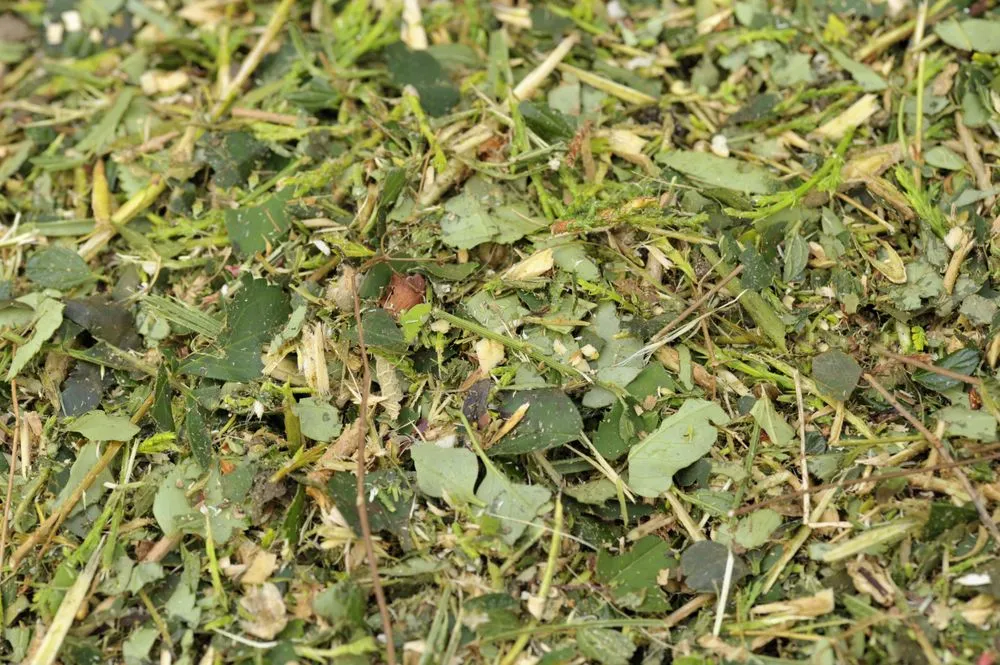 Top-rated yard cleanup service for beautiful yards across Redding, CA - A-1 Tree Service & Stump Removal