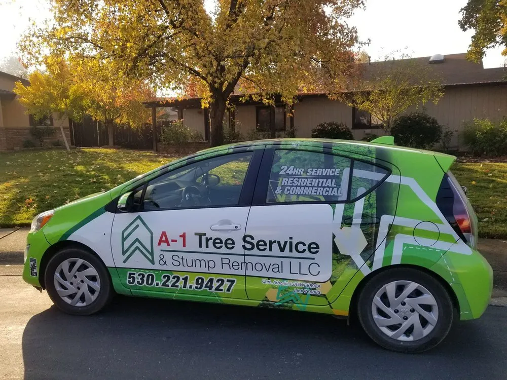 Professional yard cleanup service experts serving Redding, CA - A-1 Tree Service & Stump Removal