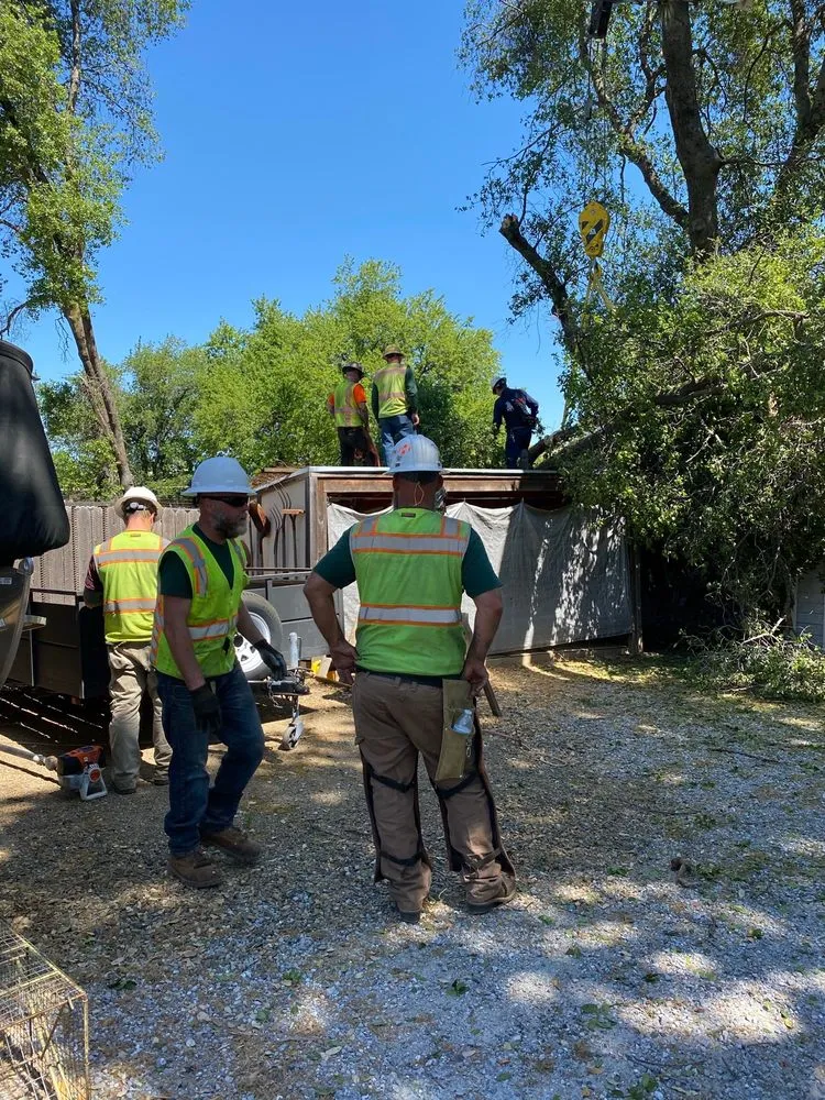 Professional landscape design for outdoor upgrades in Redding, CA by A-1 Tree Service & Stump Removal