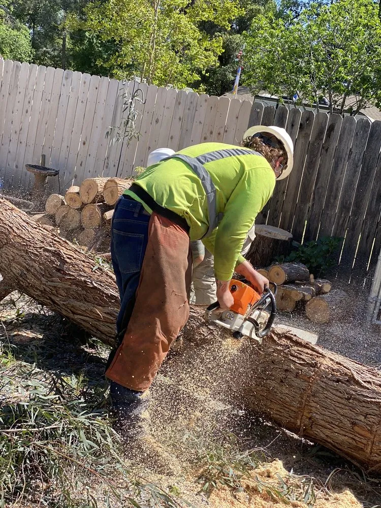 Local residential landscaping in Redding, CA - A-1 Tree Service & Stump Removal
