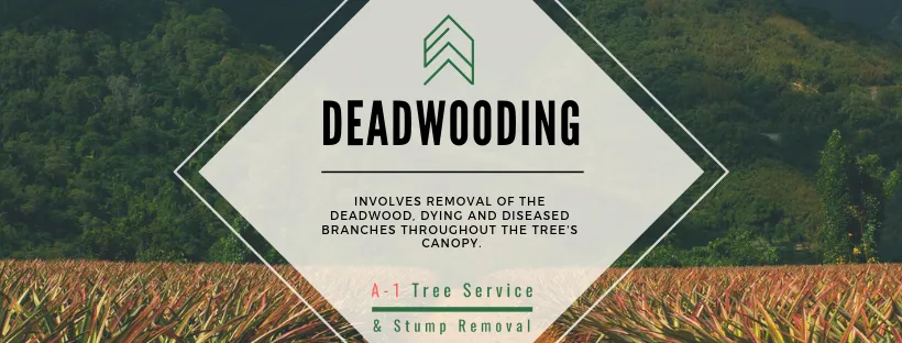 Trusted residential landscaping in Redding, CA - A-1 Tree Service & Stump Removal