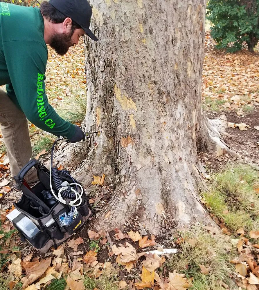 Local landscape installation in Redding, CA - A-1 Tree Service & Stump Removal
