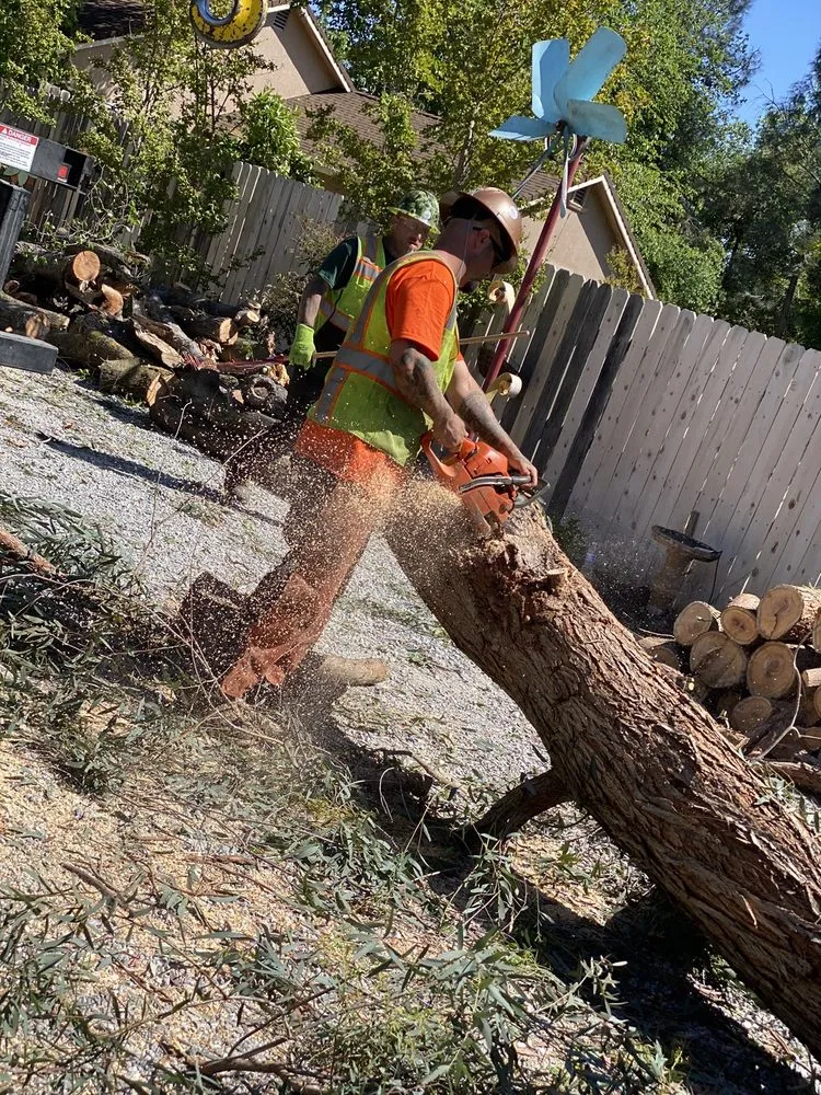 Trusted outdoor landscaping experts serving Redding, CA - A-1 Tree Service & Stump Removal