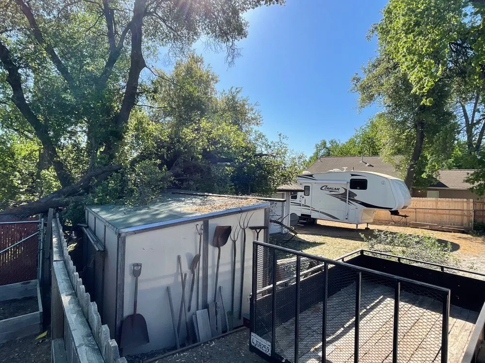 Trusted yard maintenance in Redding, CA - A-1 Tree Service & Stump Removal