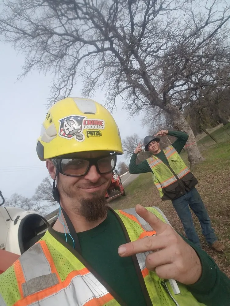 Reliable yard maintenance for year-round maintenance in Redding, CA by A-1 Tree Service & Stump Removal