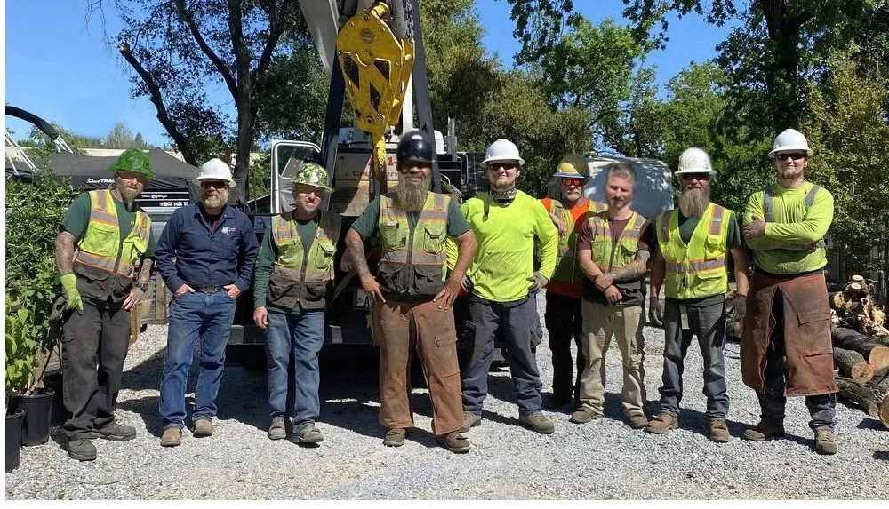 Expert yard cleanup service experts serving Redding, CA - A-1 Tree Service & Stump Removal