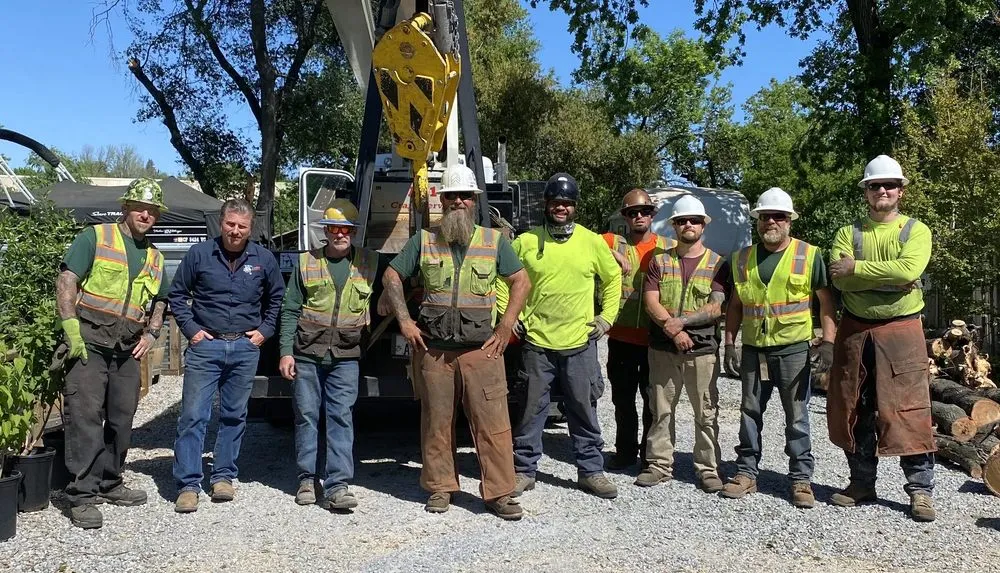 Expert landscaping services in Redding, CA - A-1 Tree Service & Stump Removal