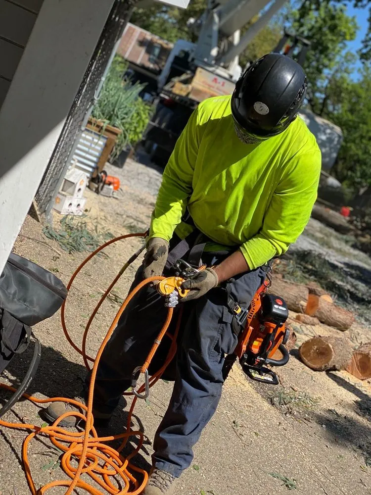 Trusted lawn care service in Redding, CA by A-1 Tree Service & Stump Removal