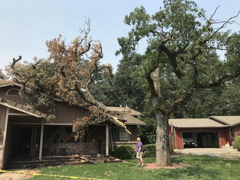 Expert garden landscaping in Redding, CA - A-1 Tree Service & Stump Removal