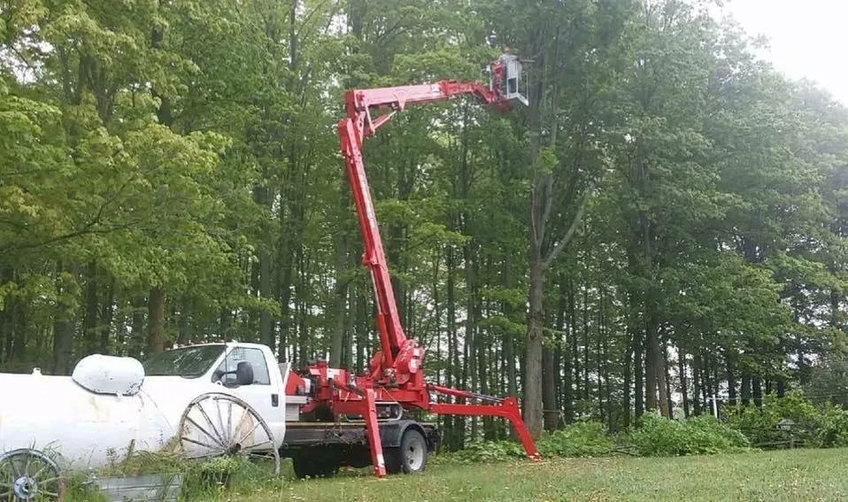 Top-rated landscape design for residential properties in Alpena, MI by A-1 Tree Service