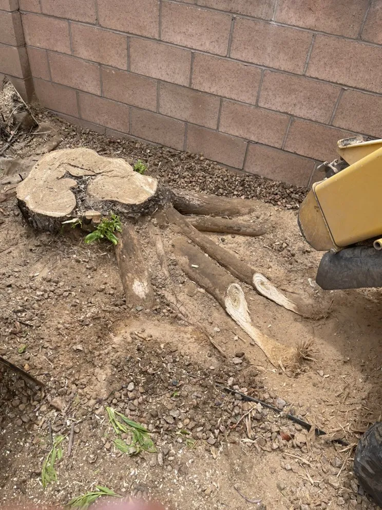 Top-rated outdoor landscaping for year-round maintenance across Alpena, MI - A-1 Tree Service