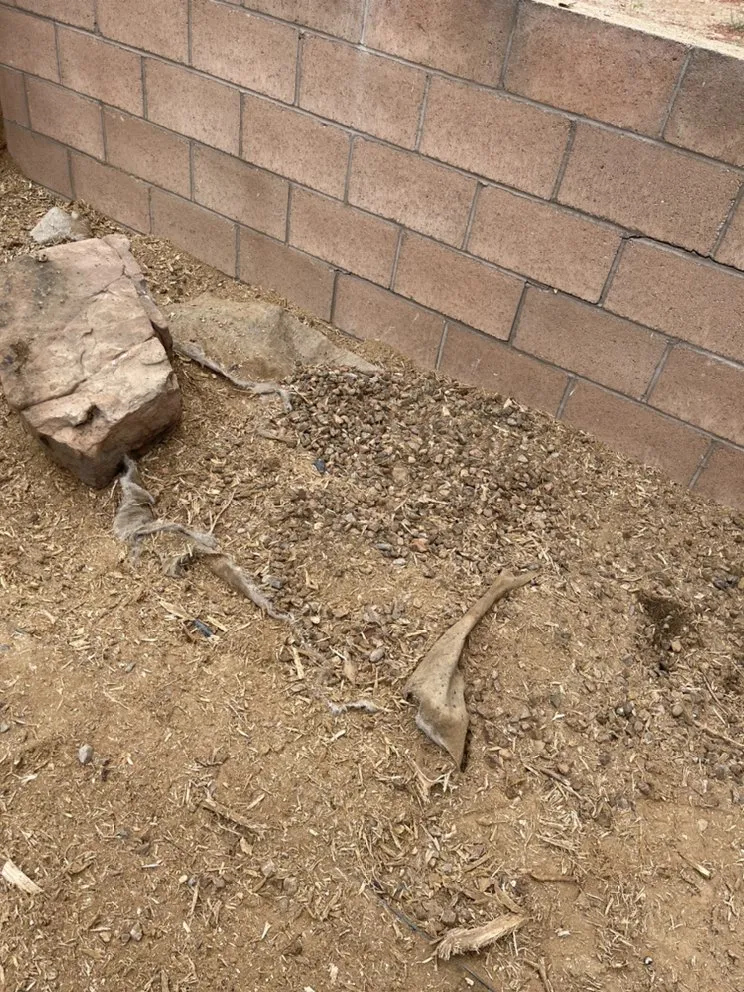 Expert landscaping services in Alpena, MI by A-1 Tree Service