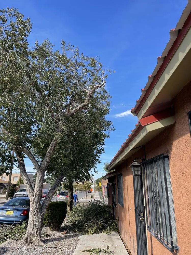 Reliable residential landscaping near you in Alpena, MI by A-1 Tree Service