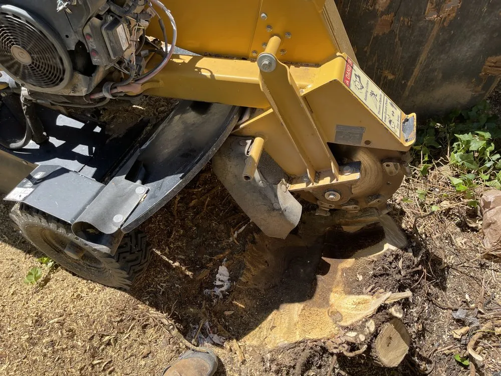 Reliable landscape installation experts serving Alpena, MI - A-1 Tree Service