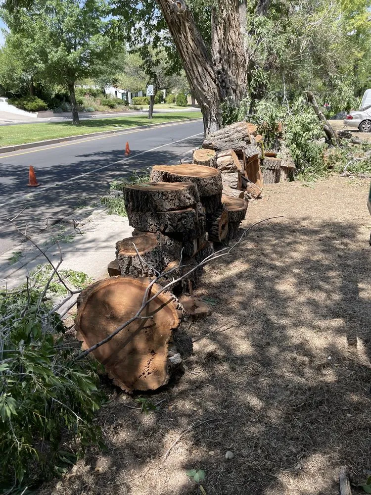 Custom residential landscaping near you in Alpena, MI by A-1 Tree Service