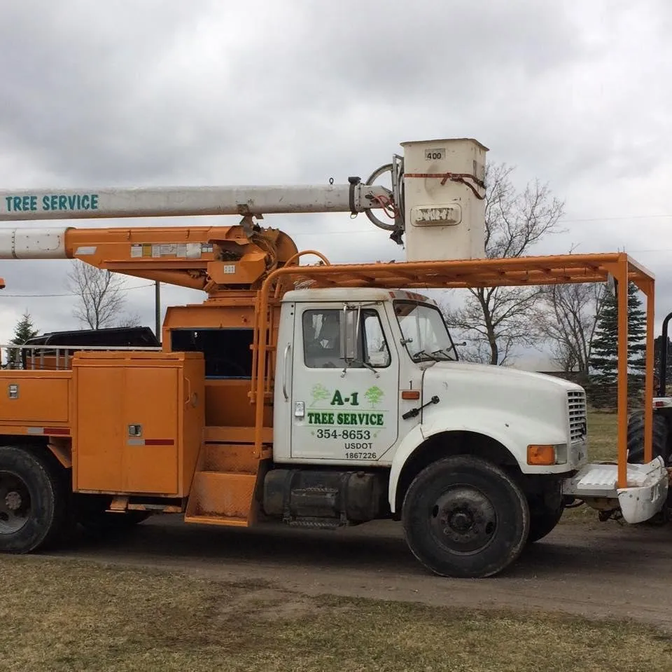 Custom yard cleanup service in Alpena, MI by A-1 Tree Service
