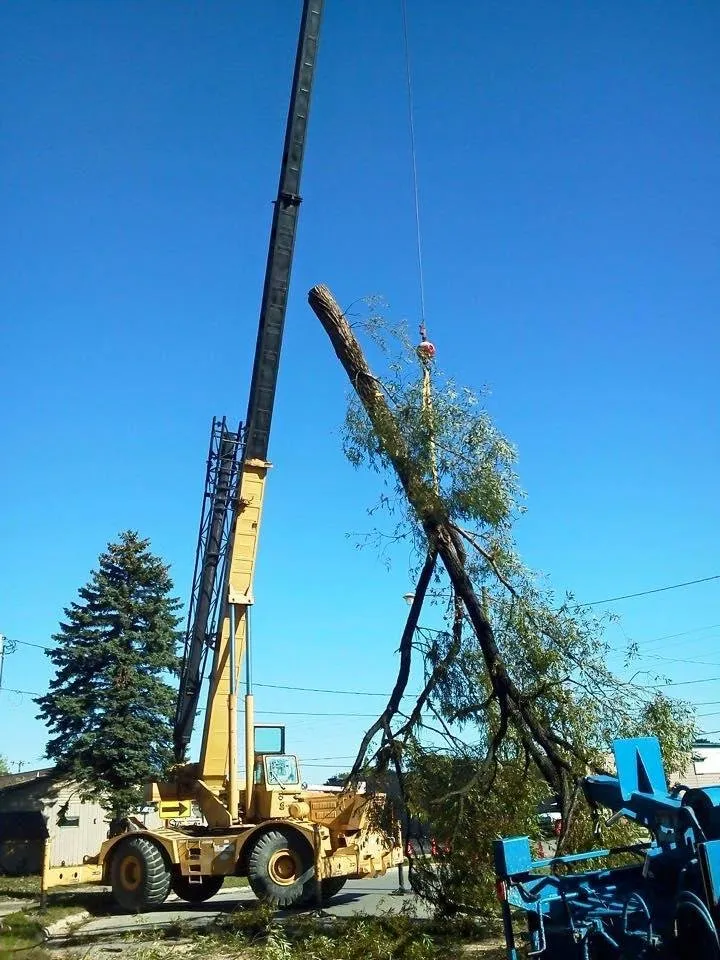 Professional garden landscaping in Alpena, MI - A-1 Tree Service