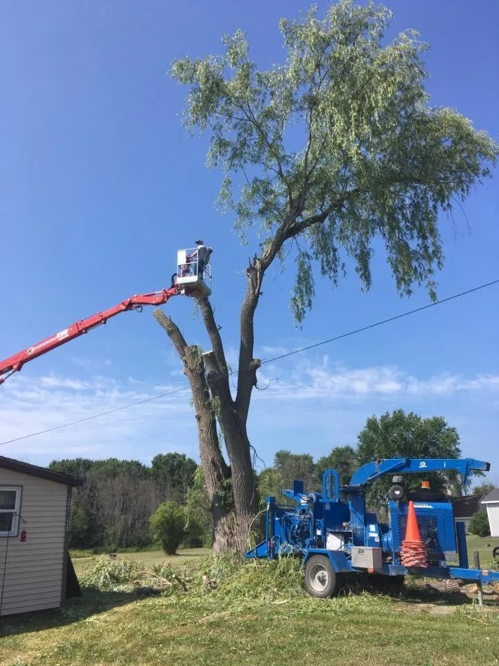 Expert lawn care service in Alpena, MI - A-1 Tree Service