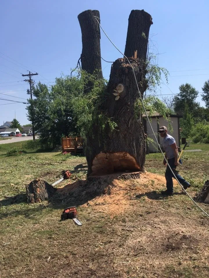 Professional outdoor landscaping in Alpena, MI - A-1 Tree Service