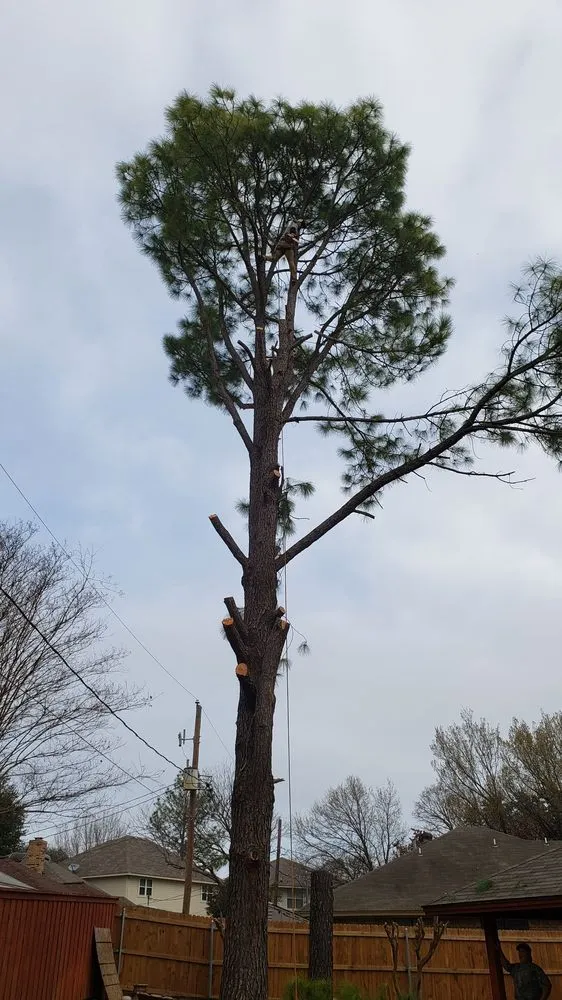 Local landscaping services with custom design across Fort Worth, TX - A-1 Tree Service