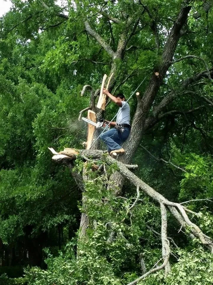 Affordable residential landscaping with custom design across Fort Worth, TX - A-1 Tree Service