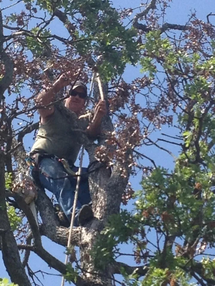 Affordable garden landscaping experts serving Fort Worth, TX - A-1 Tree Service