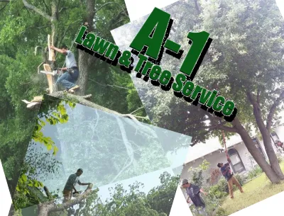 Professional lawn care service for outdoor upgrades across Fort Worth, TX - A-1 Tree Service