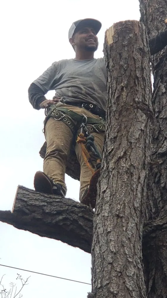 Affordable lawn mowing service in Fort Worth, TX - A-1 Tree Service