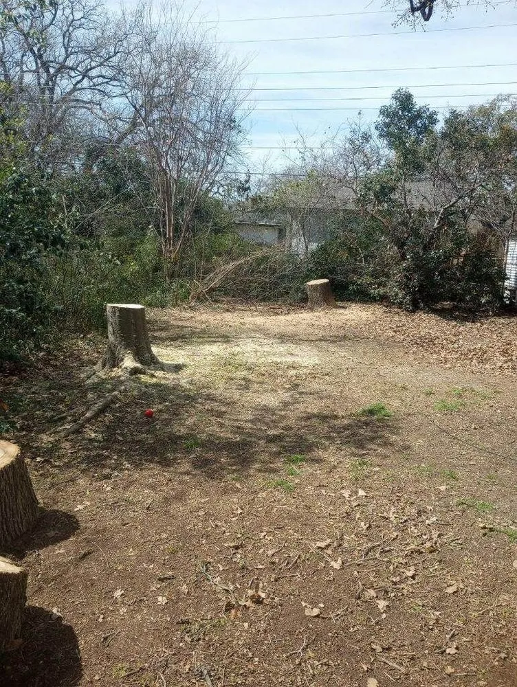 Affordable residential landscaping in Fort Worth, TX by A-1 Tree Service