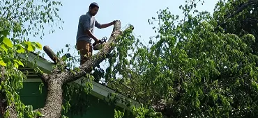 Professional outdoor landscaping in Fort Worth, TX - A-1 Tree Service