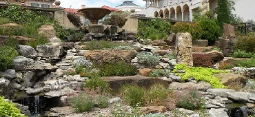 Local lawn mowing service for outdoor upgrades in Fort Worth, TX by A-1 Tree Service