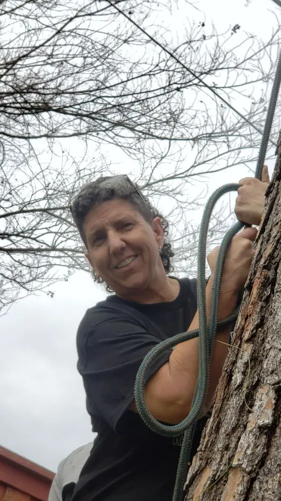 Top-rated garden landscaping in Fort Worth, TX - A-1 Tree Service