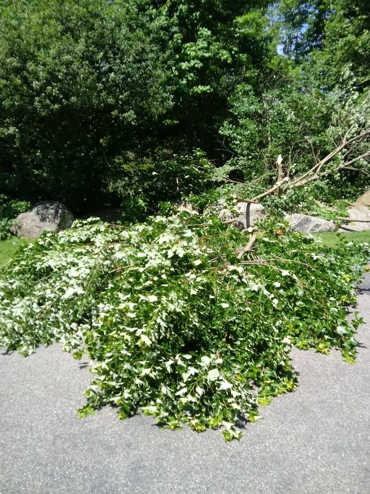 Reliable landscape design experts serving Haverhill, MA - A-1 Tree Service