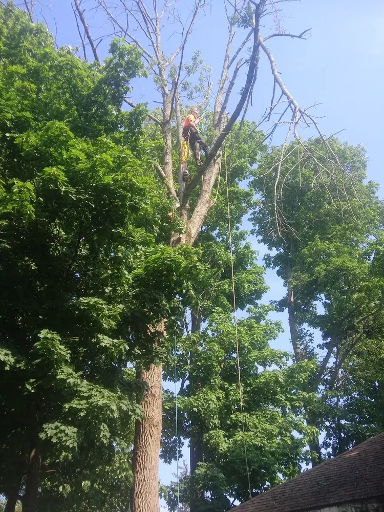 Reliable landscape installation experts serving Haverhill, MA - A-1 Tree Service