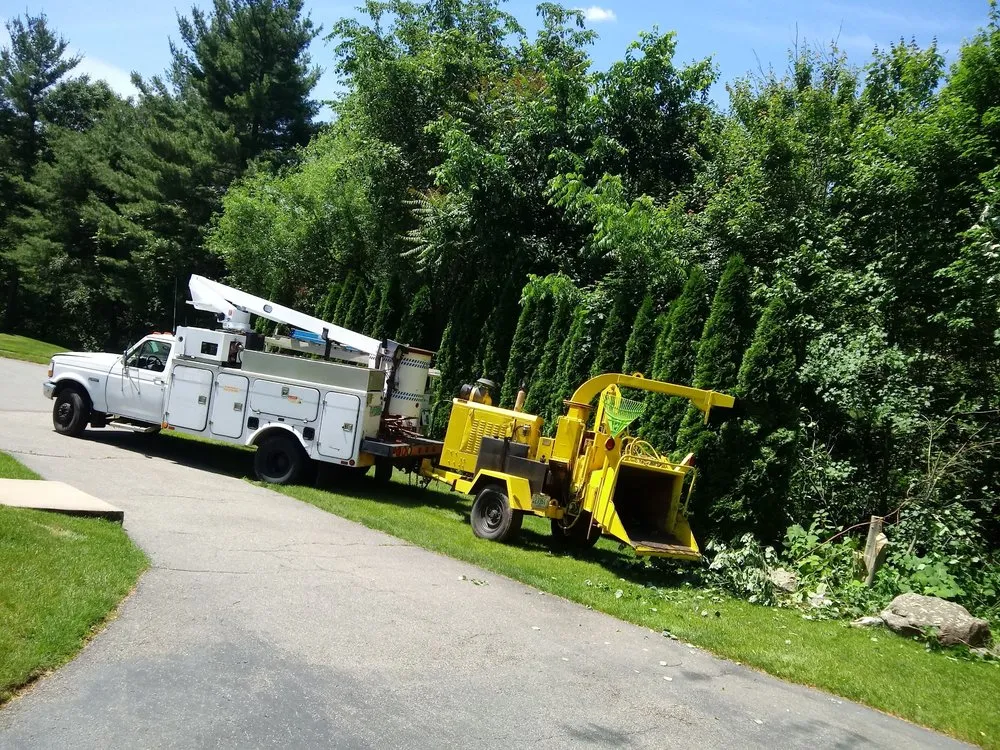 Top-rated yard cleanup service experts serving Haverhill, MA - A-1 Tree Service