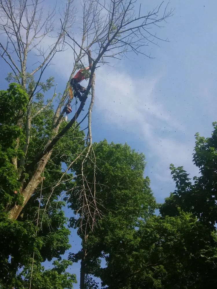 Trusted landscape design in Haverhill, MA by A-1 Tree Service