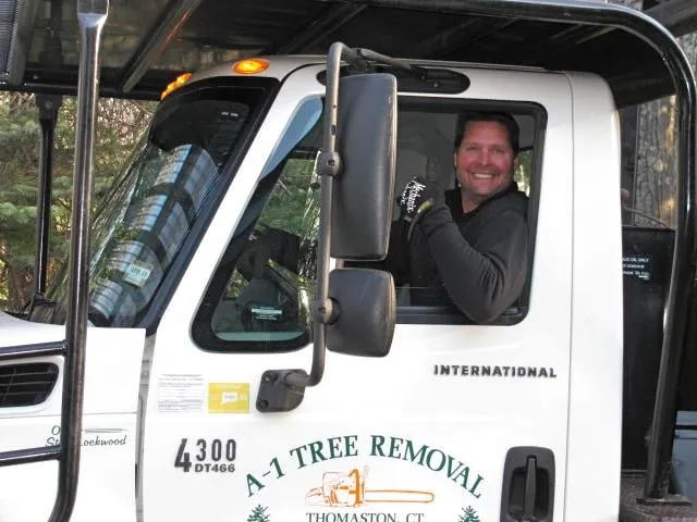 Affordable garden landscaping experts serving Thomaston, CT - A-1 Tree Service