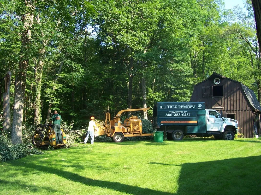 Custom yard cleanup service for homes across Thomaston, CT - A-1 Tree Service