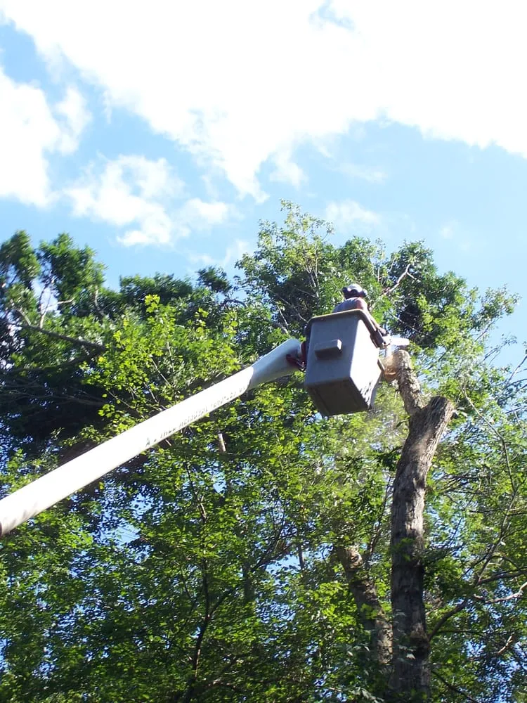 Custom garden landscaping with custom design in Thomaston, CT by A-1 Tree Service