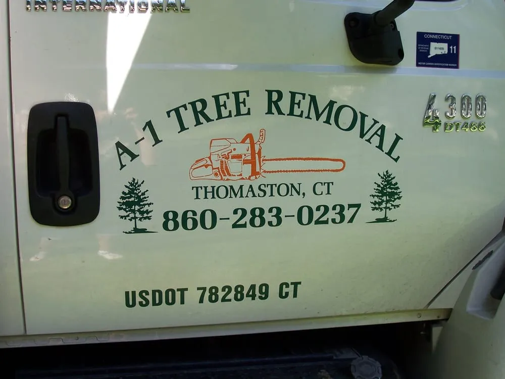 Affordable yard maintenance for outdoor upgrades across Thomaston, CT - A-1 Tree Service