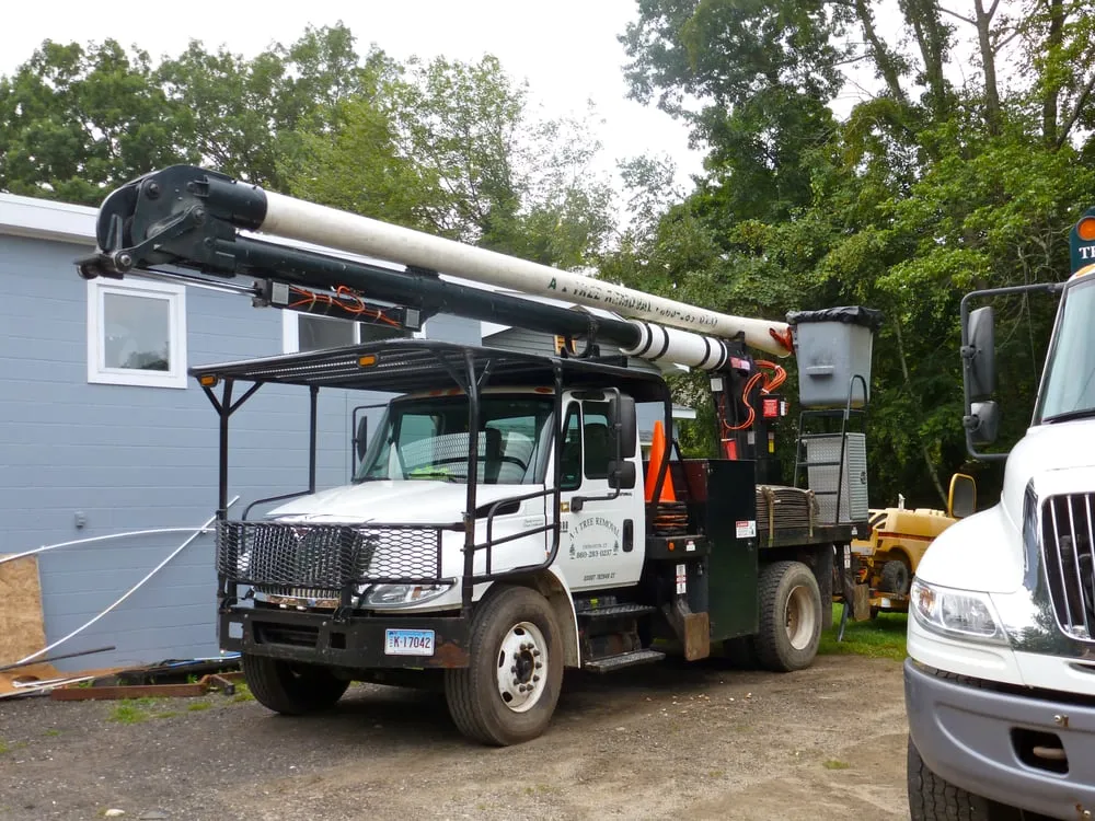 Affordable lawn care service in Thomaston, CT by A-1 Tree Service