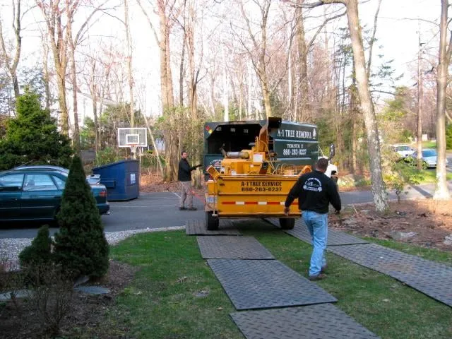 Top-rated lawn care service in Thomaston, CT by A-1 Tree Service