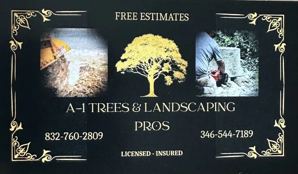 Affordable landscape design experts serving Katy, TX - A-1 Trees & Landscaping Pros