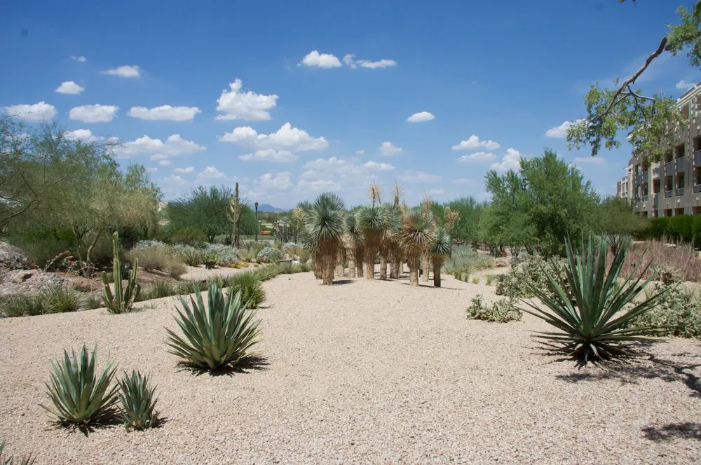 Custom yard cleanup service experts serving Gilbert, AZ - A-1 Weed Control